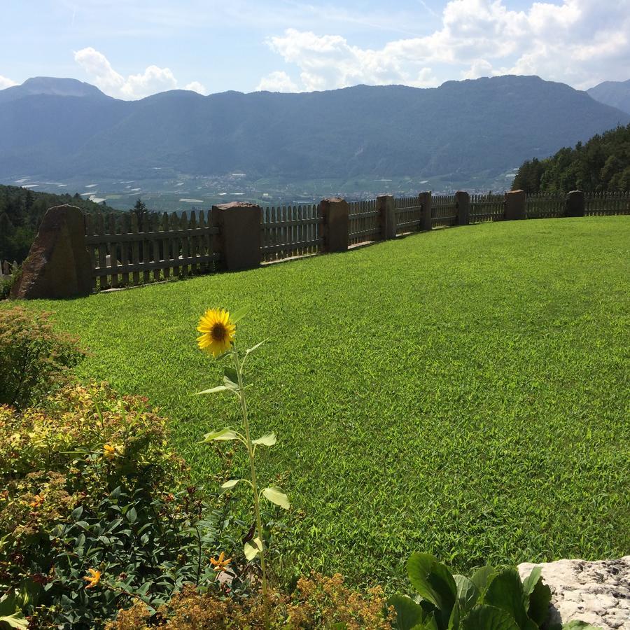 Agriturismo Alpenvidehof Villa Coredo Exterior photo